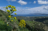 Kretas Frühling